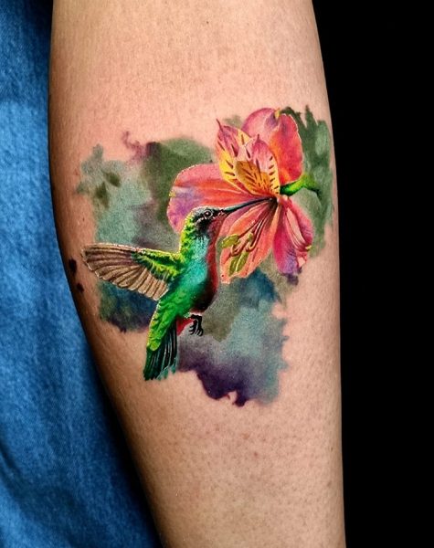 colibri